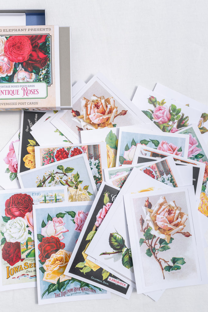 set of large post cards with roses. great gift idea for francophiles. 